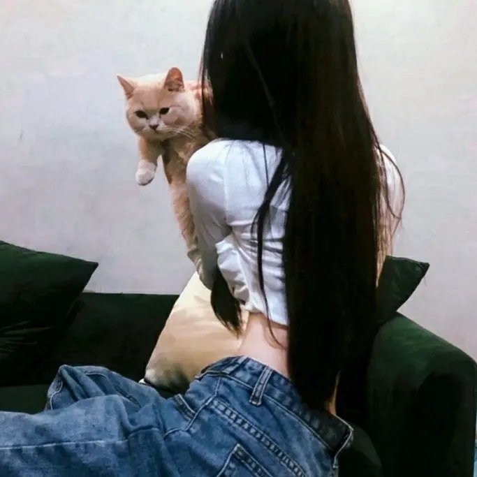追随